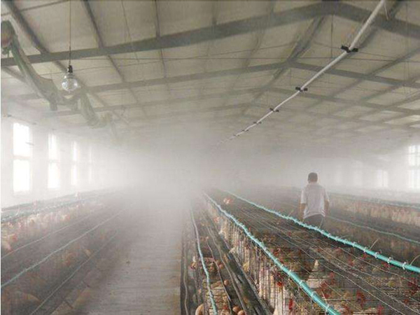 养殖舍定时自动消毒加湿降温设备